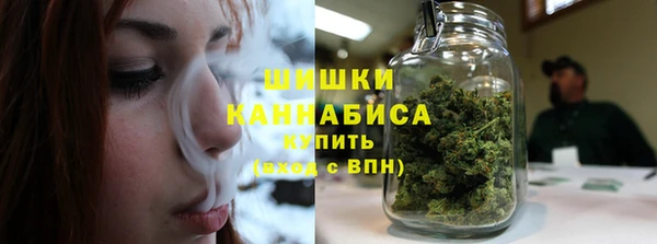 мдпв Богородск