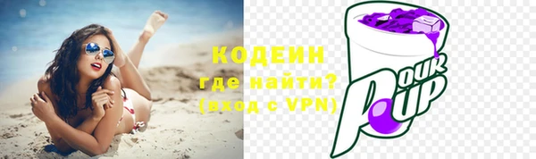 мдпв Богородск