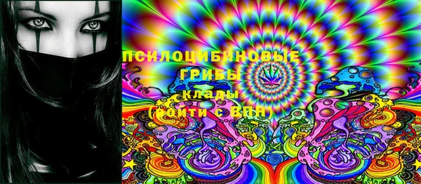 COCAINE Богородицк
