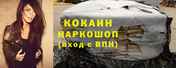 мдпв Богородск